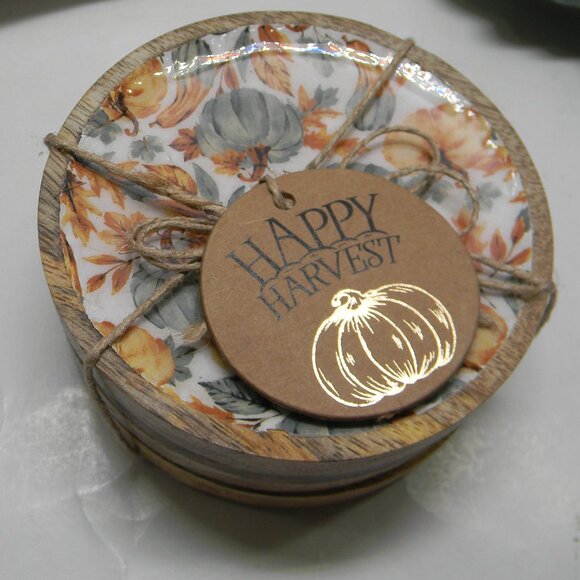 Lot of Fall Decor Coasters Pumpkin Salt Pepper Butter Dish Thanksgiving NWT - Picture 2 of 5